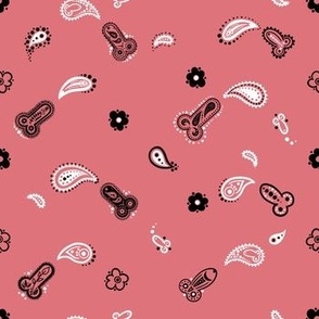 Gay Hanky Paisley Pattern - Watermelon