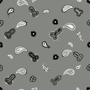 Gay Hanky Paisley Pattern - Pewter Grey