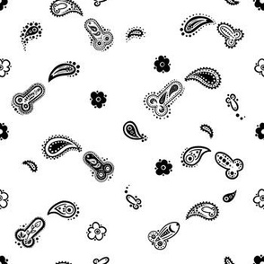 Gay Hanky Paisley Pattern - White