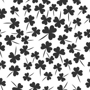 clover  the symbol of St. Patrick's day lucky grey-01 8x8