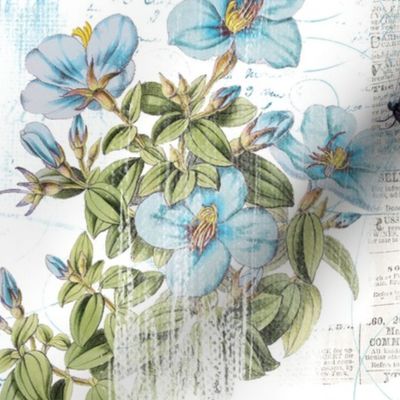 Gardenia : Blue Botanical White