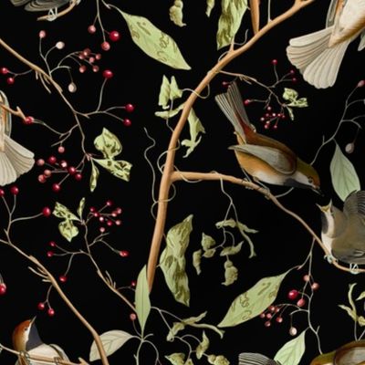 Canadian Titmice by John James Audubon  - Antiqued Reconstructed Bird Fabric - Birds And Branches on black 