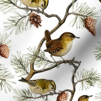 Goldencrest by John James Audubon  - Antiqued Reconstructed Bird Fabric - Birds And Branches on White