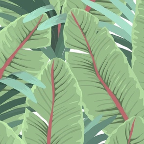 BANANA LEAVES 2023 24"