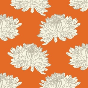 Cream Chrysanthemum Orange