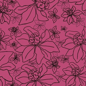 Pink Poison flower sketch, magenta  (large, repeat)
