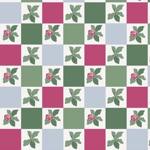 Pink Poison flowers in Checkerboard