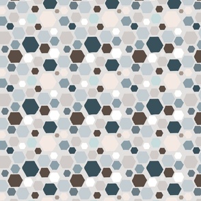 Hexies in Blue & Brown