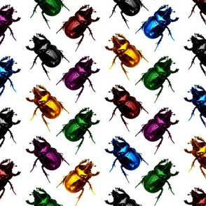 Jewel & Black Beetles