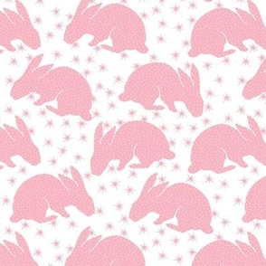 Pink rabbits 