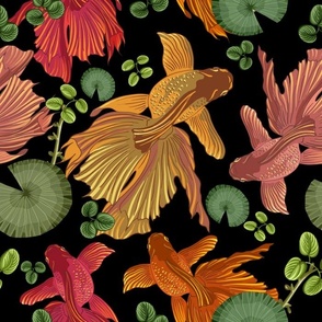 Fancy Goldfish and Aquarium Pond Plants Vintage Illustration