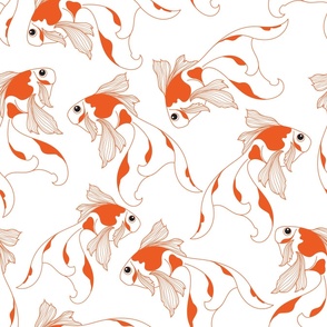 Beautiful Tamasaba Orange and White Fancy Fantail Goldfish Pets Novelty