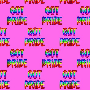 Pink LGBTQ Rainbow Got Pride