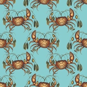 Vintage Crab Illustrations on Turquoise