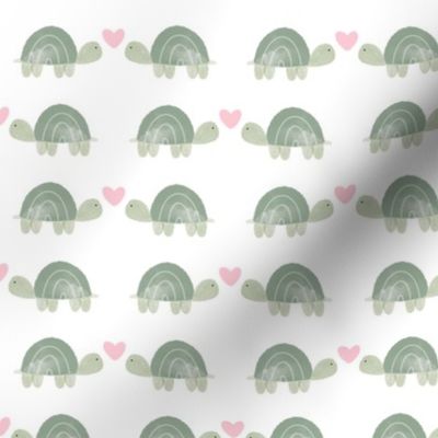 Love Turtles on White - Valerntine's Day