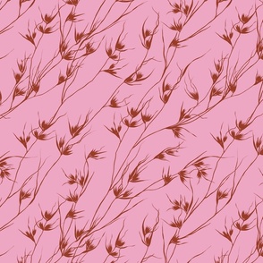 KANGAROO GRASS (pink and brown)