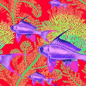 Ultra Bright Purple fishes and seaweed on red