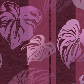  jumbo-Anthurium Silhouette stripes-rose violet
