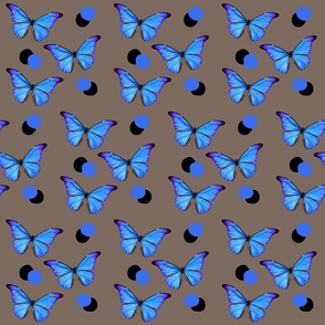 Grey & Blue butterfly and dots