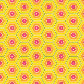 Yellow Orange Pink Hexagons