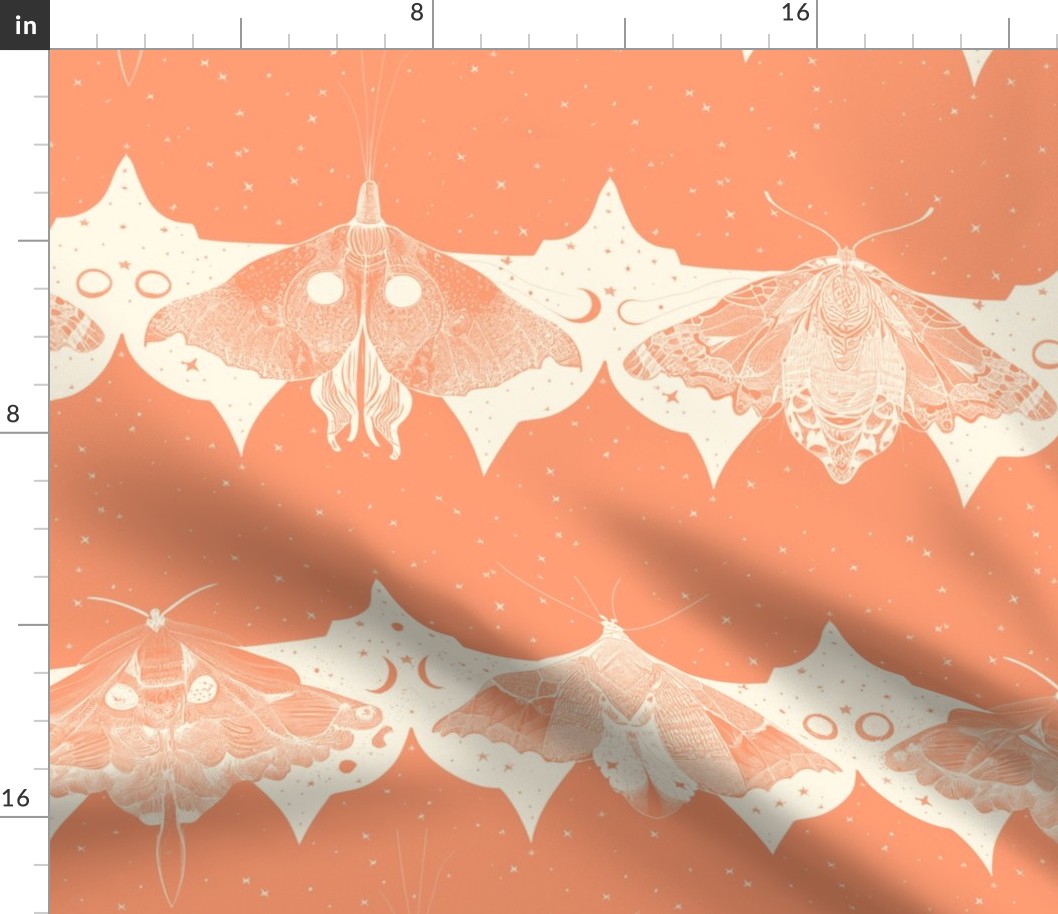 Moon Moth Hand Drawn Graphic - Coral