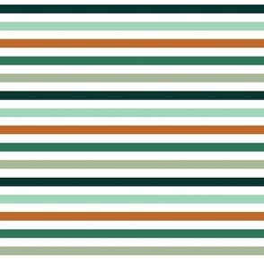 1/4" shamrock stripes: green, sage, mint, pumpkin