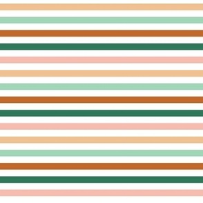 1/4" shamrock stripes: green, pink, mint, pumpkin, peach