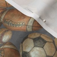 Be the Ball Sports Fabric- Baseball, Football, Soccer, Basketball on Gray Smaller Scale