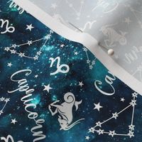 Small-Medium Scale Capricorn Zodiac Symbols and Constellations on Teal Galaxy