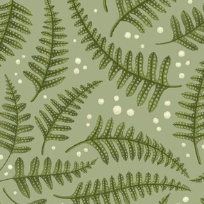 Ferns-Forest_Floor-medium