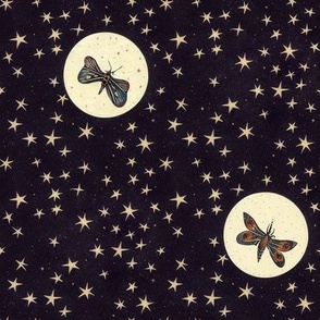 Moth in the Moon