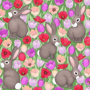 bunny rabbits and tulips