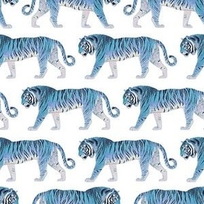 Blue Tigers