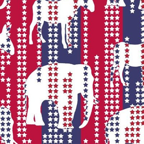 Stars in Stripes Election Style