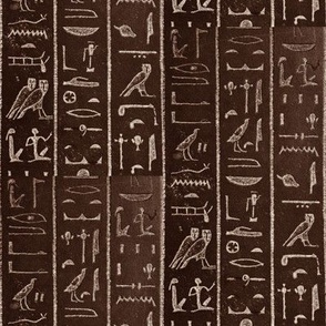 530 BCE Hieroglyphics from the Sarcophagus of Princess Ankhnesneferibre - Sepia