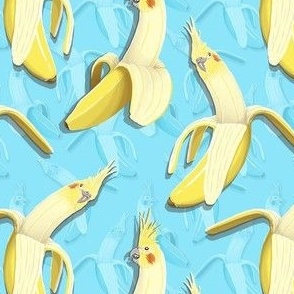 Bananaaaa! Cockatiel Banana
