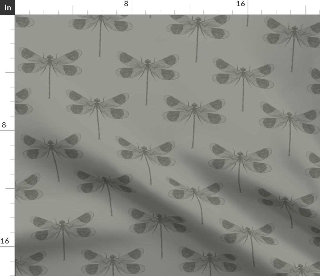 Dragonfly Grey - Large Scale - pointdelettre24