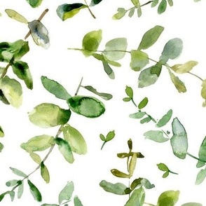 Watercolor Green Eucalyptus leaves Greenery