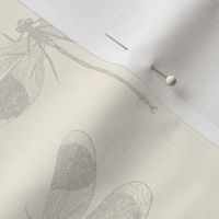 Dragonfly Off White - Large Scale - pointdelettre24