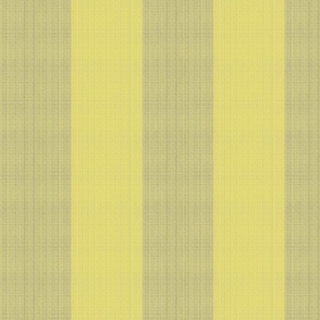 rugby-stripe-yellow_olive