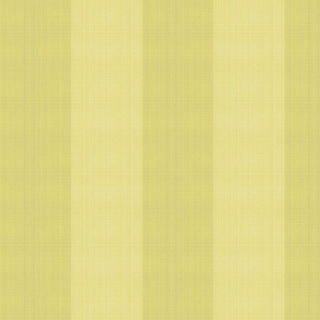 rugby-stripe-lemon_yellow