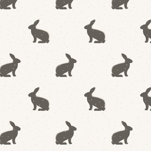 Year of Rabbit