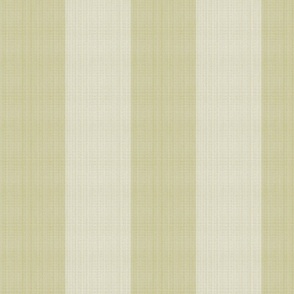 rugby-stripe_celery_khaki