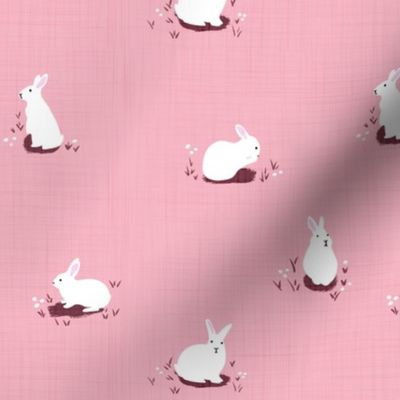 Rabbit garden on pink
