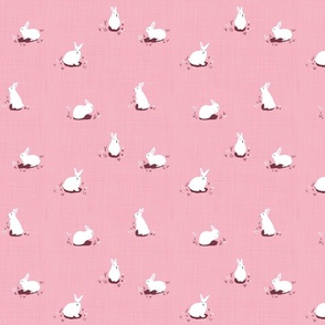 Rabbit garden on pink