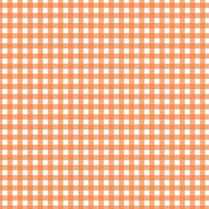 Wild West - Gingham - 1/2-Inch - Orange