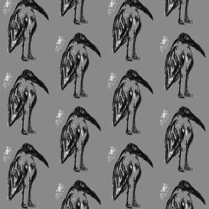 Rough Outline -  Woodstork Bird Illustration in Black and Grey