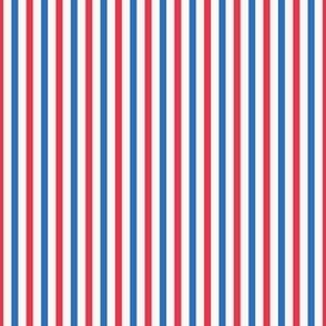 Basic Stripes Red and Blue (Small)