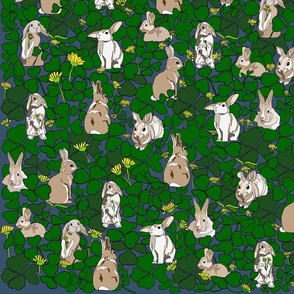 Clover Patch Bunnies