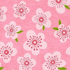 Large, Cherry Blossoms on Pink Background